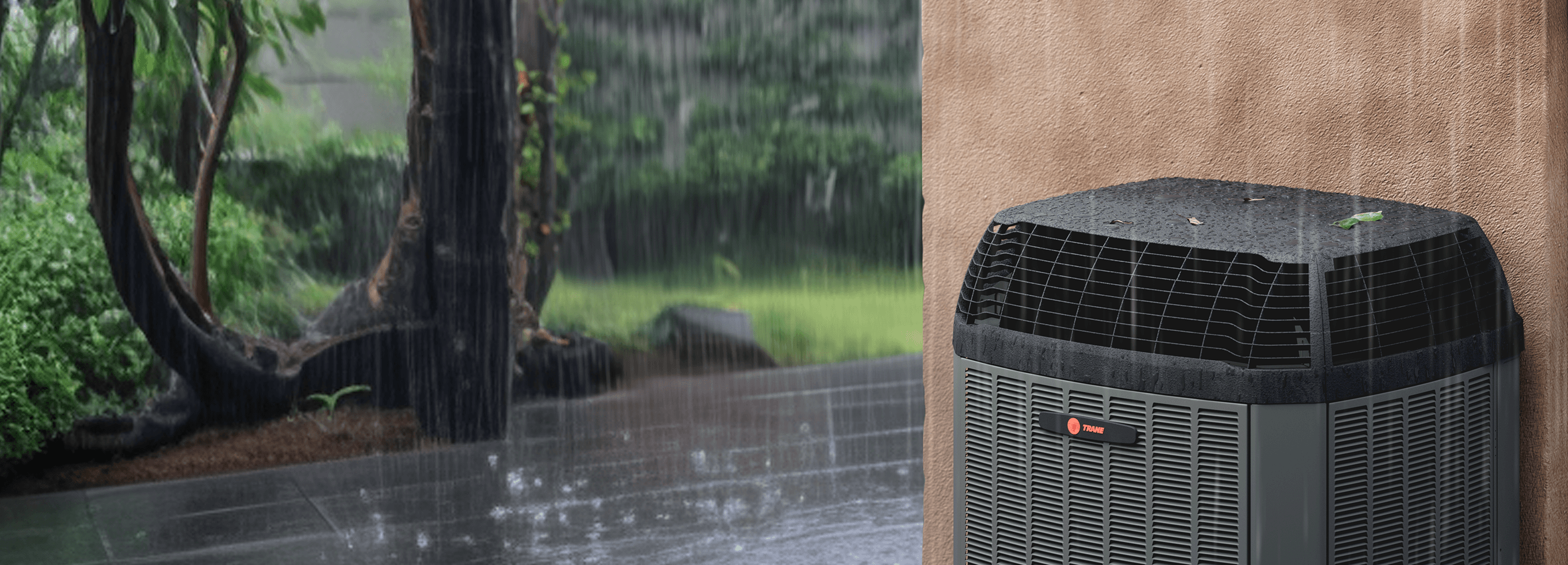 2022 03 AC Rainy wip copy