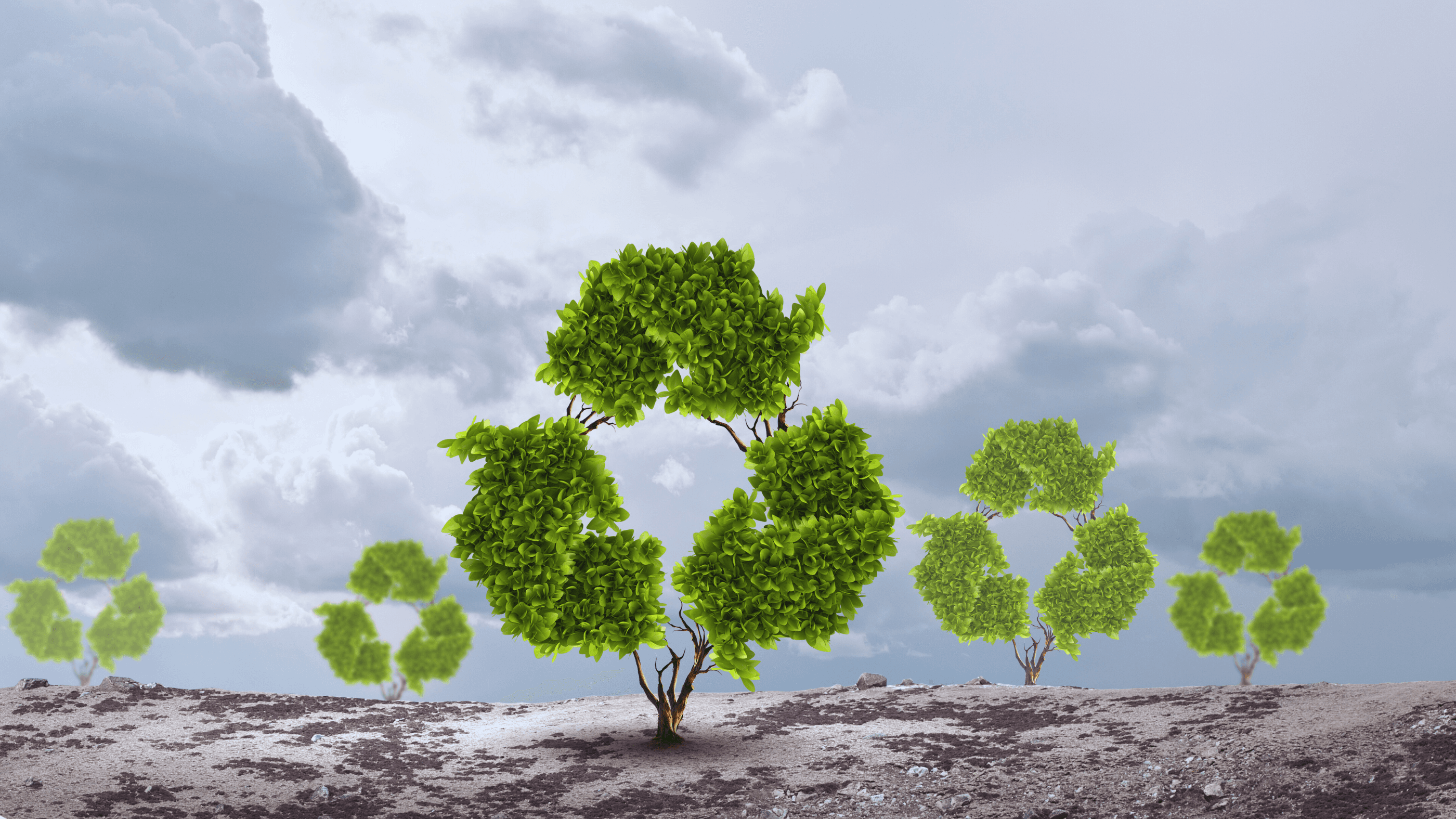 Trees with leaves shaped to look like the recycle symbol.