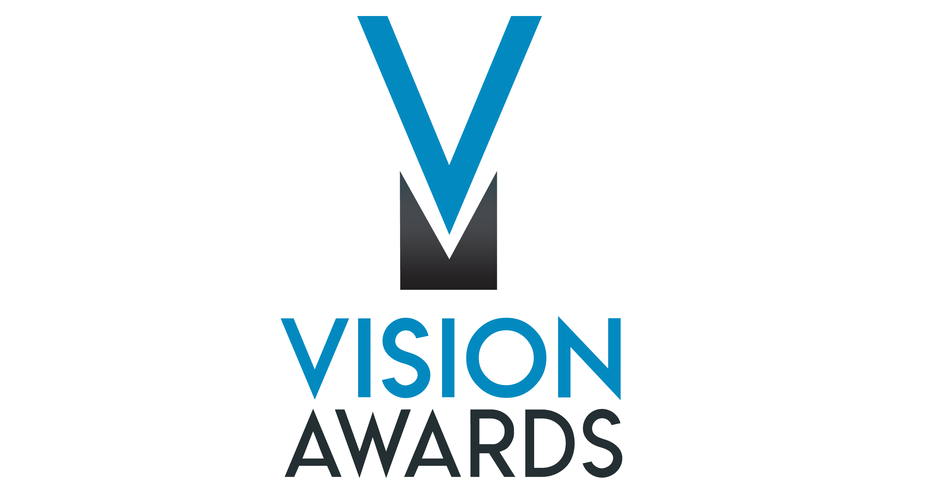 Vision Awards Winner